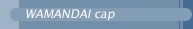 WAMANDAI cap